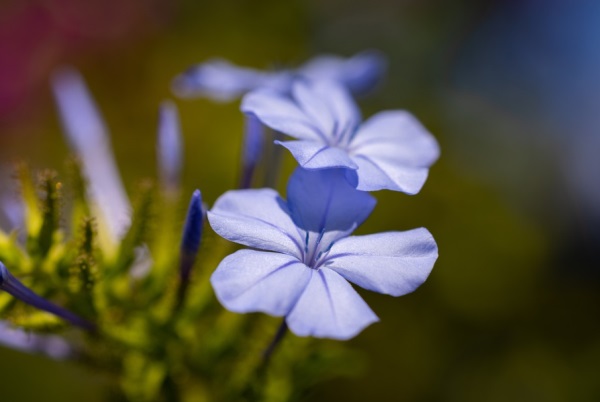 用音字取好听的网名