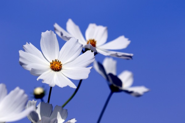 好听的励志网名