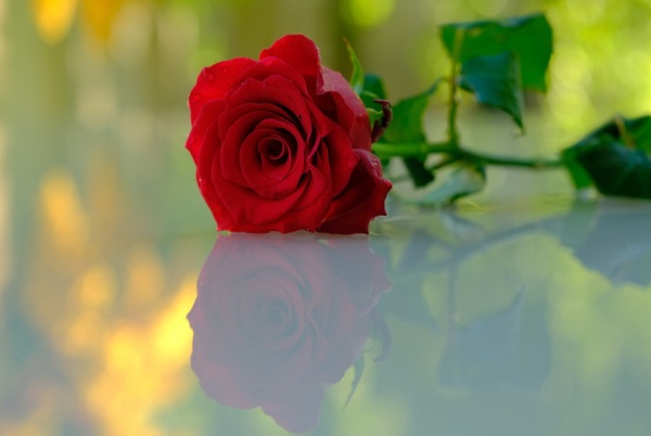 好听的百度网名