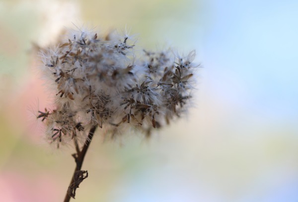 帮我找好听点的网名