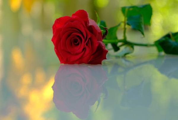 好听的四个字的古风网名