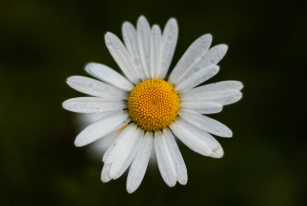 好听的网名8字之内