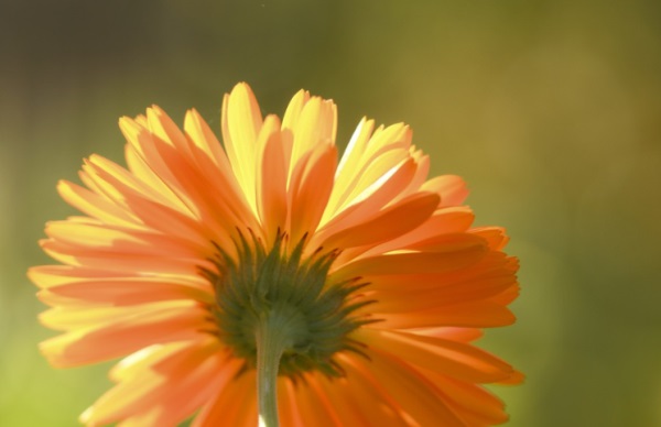 好听清晰的网名男生