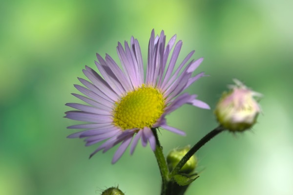 女生好听的网名韩文