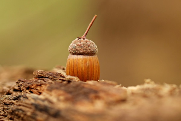 好听歌的网名带符号