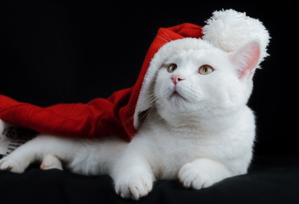 qq网名好听有含义