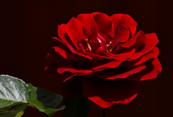 好听的地方网名