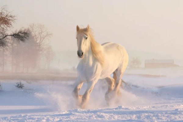 好听的玩网网名
