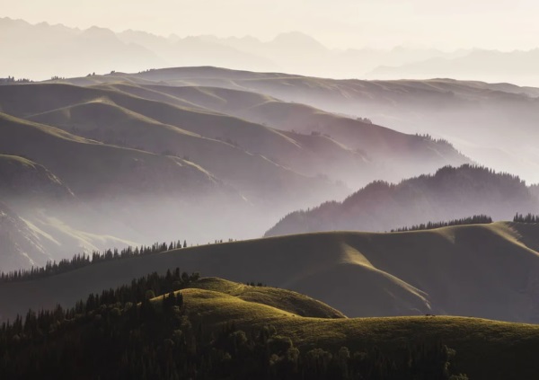 什么儿好听网名