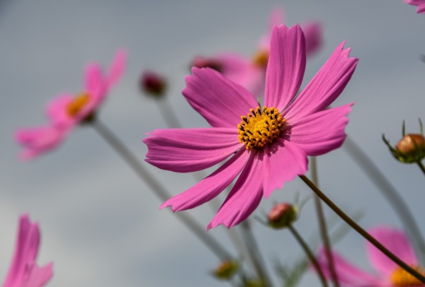 女生的qq网名好听的网名大全