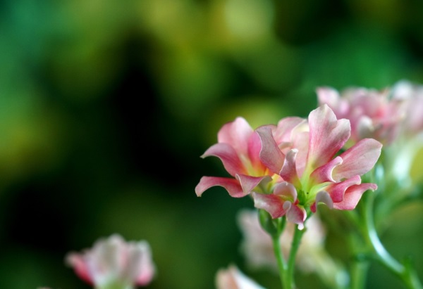 取个好听网名大全