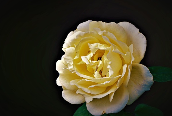 好听简短QQ网名