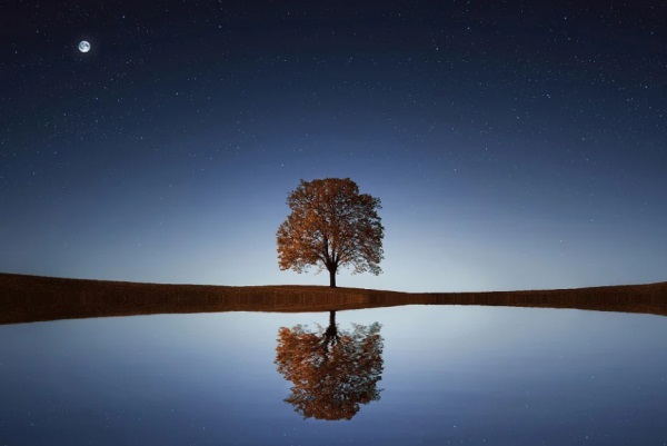 好听有初夏的网名