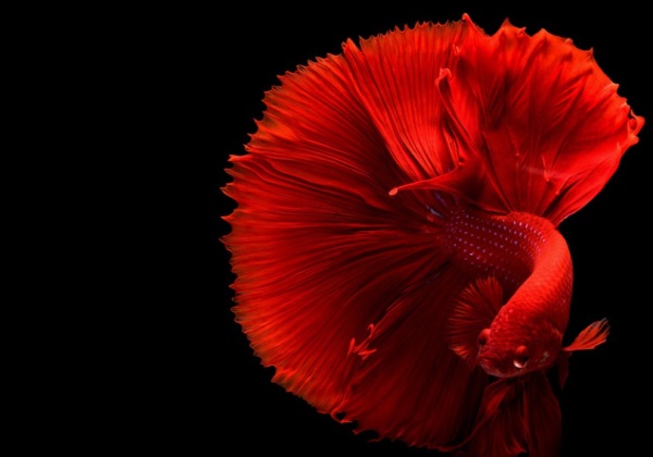 好听的带符号网名