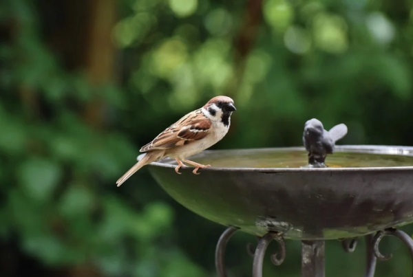 关于太阳好听的网名