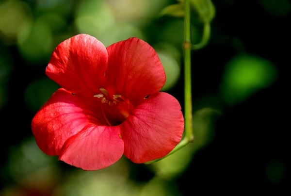 好听的古风网名