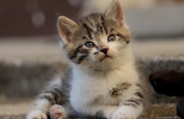 好听的失恋后的网名