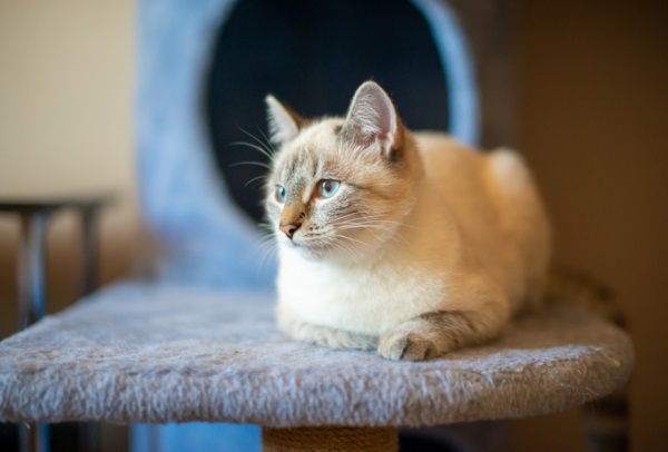 好听点的网名男生