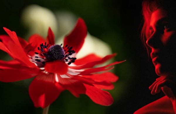 关于耀的好听的网名