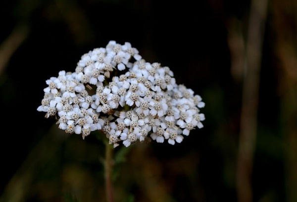 好听好看的哥们网名