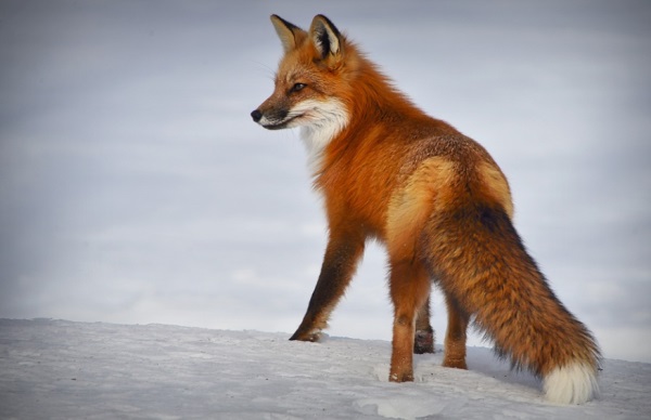 污又好听的网名