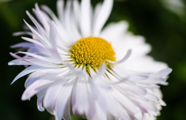 带符号好听的网名女生