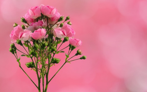 好听的汽车销售网名