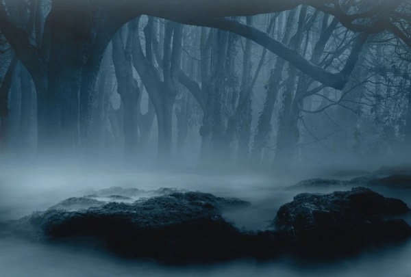 网名宿命好听吗