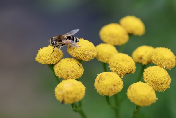 窗什么网名好听