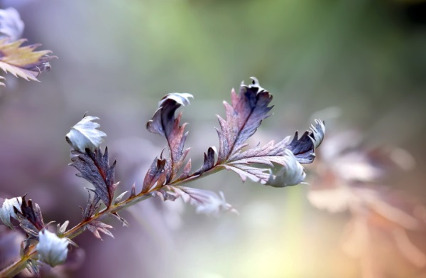 好听的网名数字