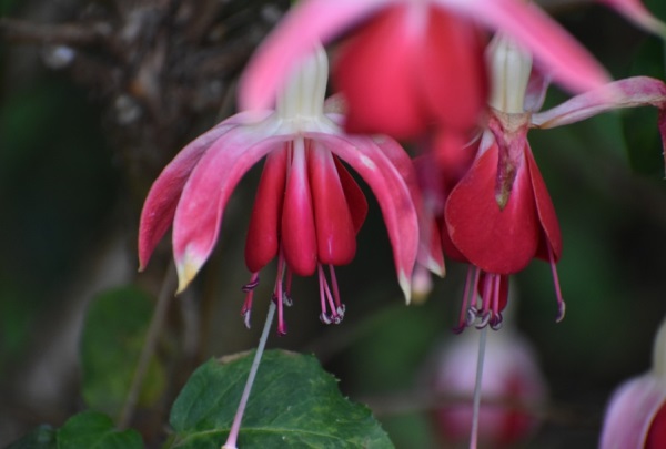 带黄好听的网名