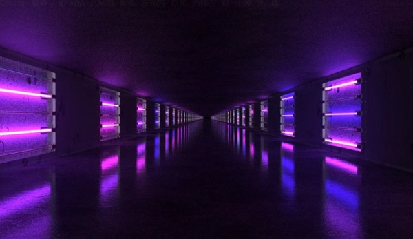 脸胖的网名好听的