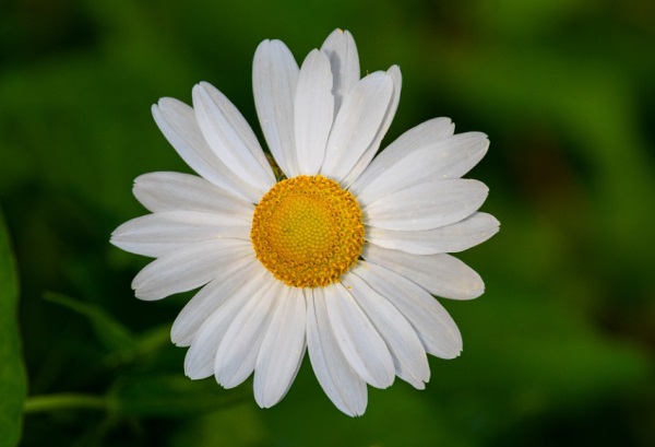 女生网名好听点的