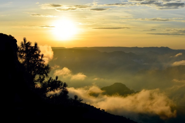 神武手游好听的网名