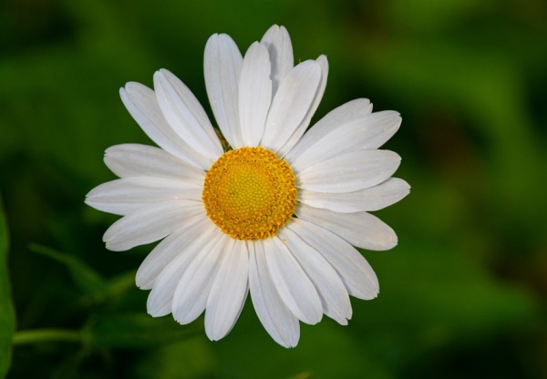好听却不幼稚的网名
