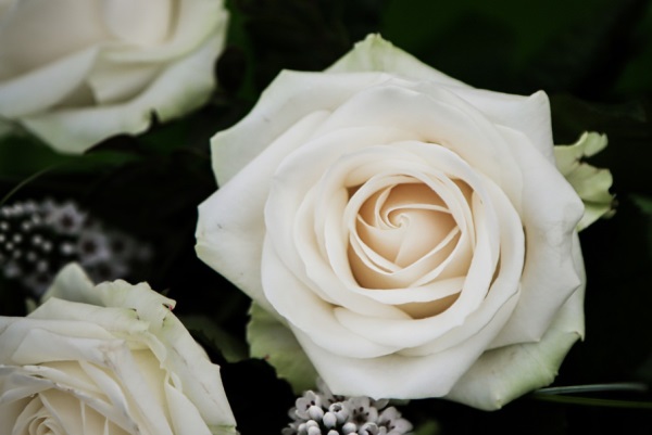 好听的古风七字网名