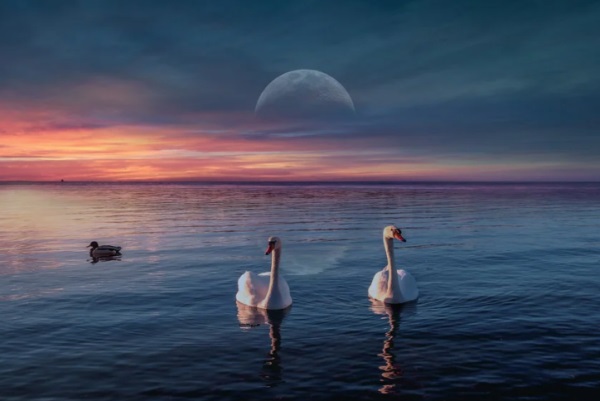 好听的5字男生网名