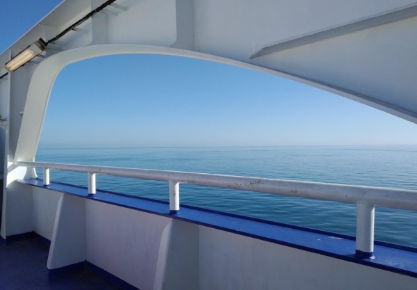 好听网名通用女生英文