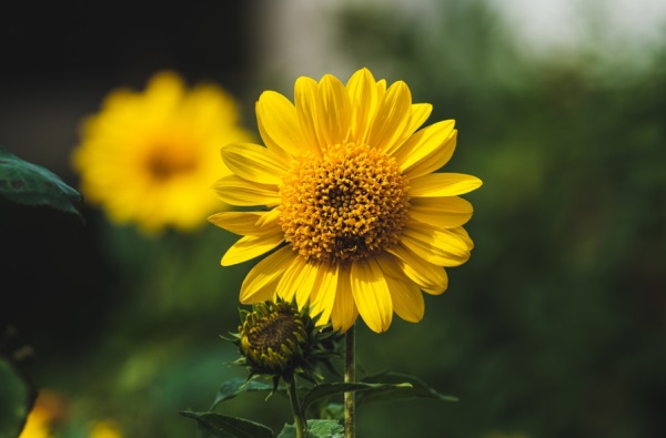 好听忧伤古典网名