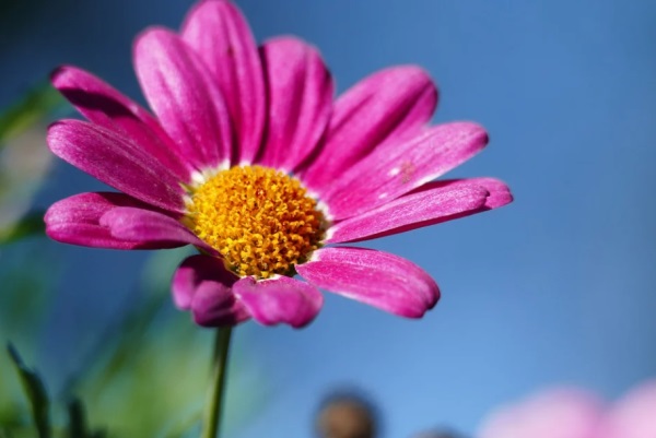 好听的道教网名