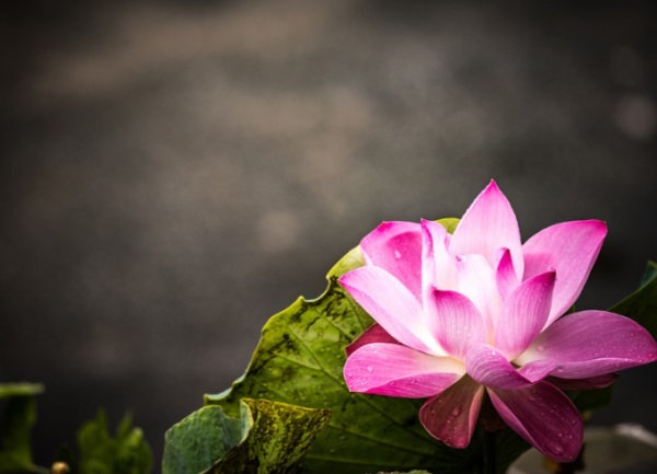 好听的军人网名男生