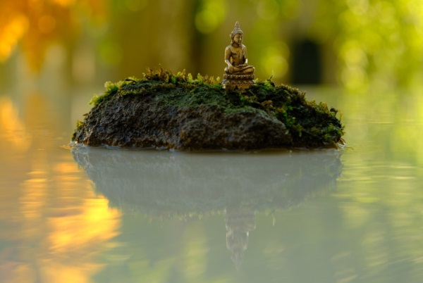 四叶草的好听网名女生