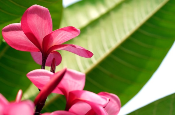 好听的有寓意网名