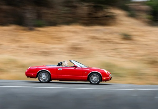 好听的深情网名