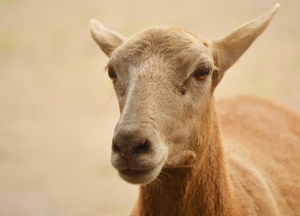 五个字好听的男生网名