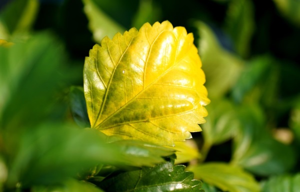 好听的网名闺蜜网名
