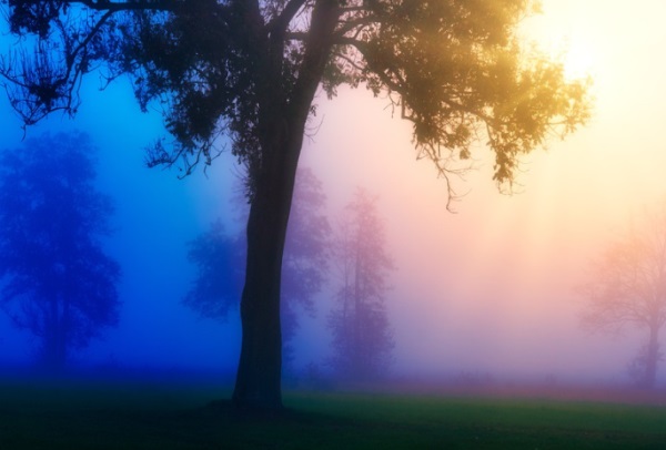 男生起什么网名好听