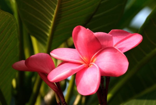 网名前戳有哪些好听的