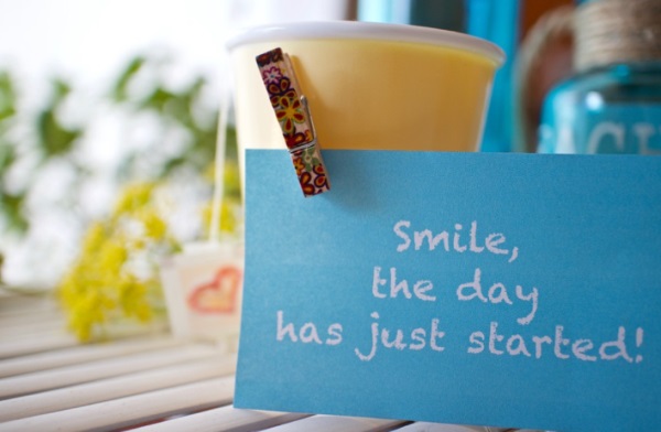 加菲猫好听的网名