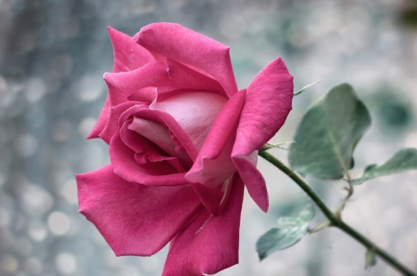 六个字好听网名